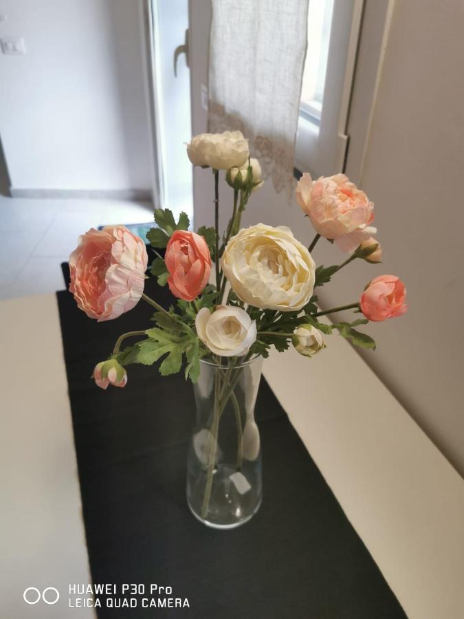 דירות קטאניה Il Giardino In Centro מראה חיצוני תמונה